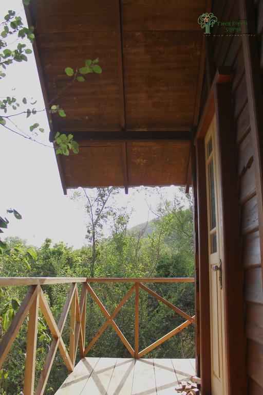 The Thick Forest Sigiriya Room photo