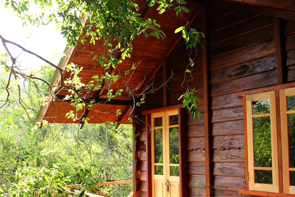 The Thick Forest Sigiriya Room photo