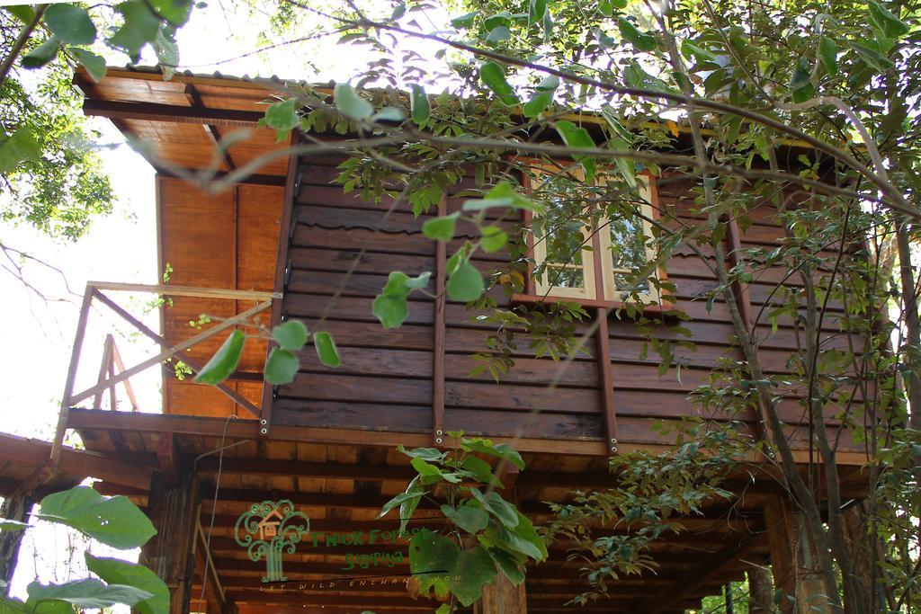 The Thick Forest Sigiriya Room photo