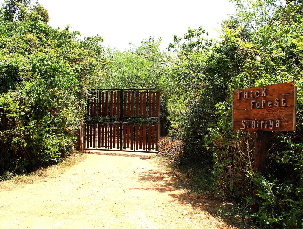 The Thick Forest Sigiriya Exterior photo