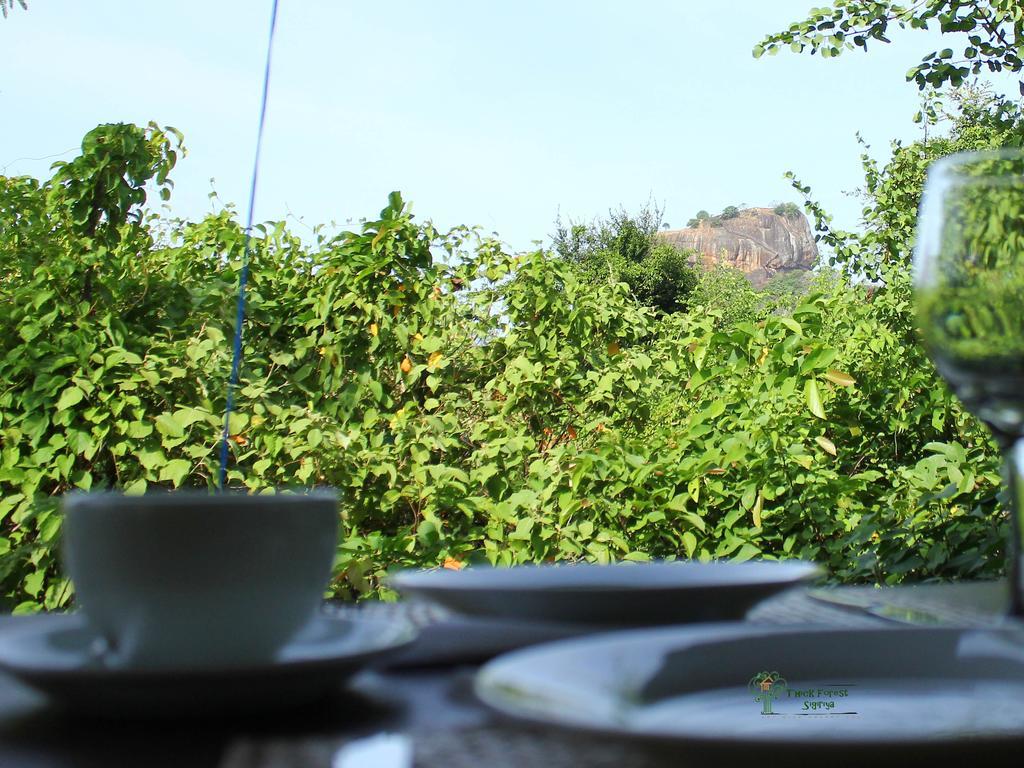 The Thick Forest Sigiriya Exterior photo