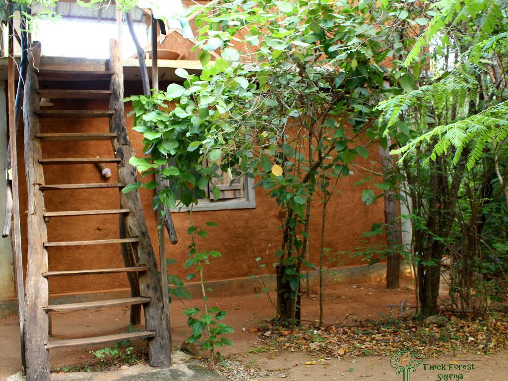 The Thick Forest Sigiriya Exterior photo