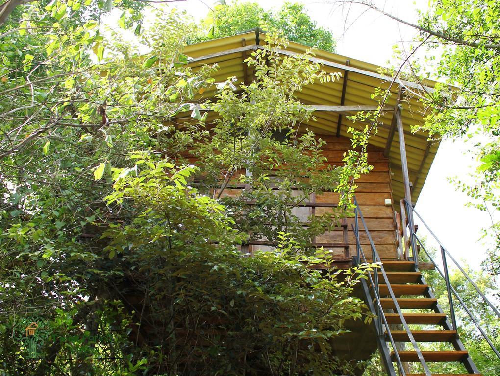 The Thick Forest Sigiriya Room photo