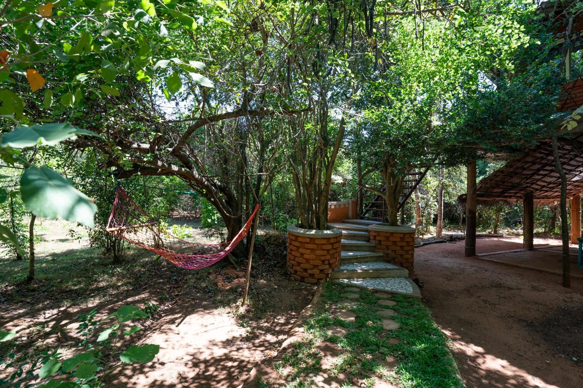 The Thick Forest Sigiriya Exterior photo
