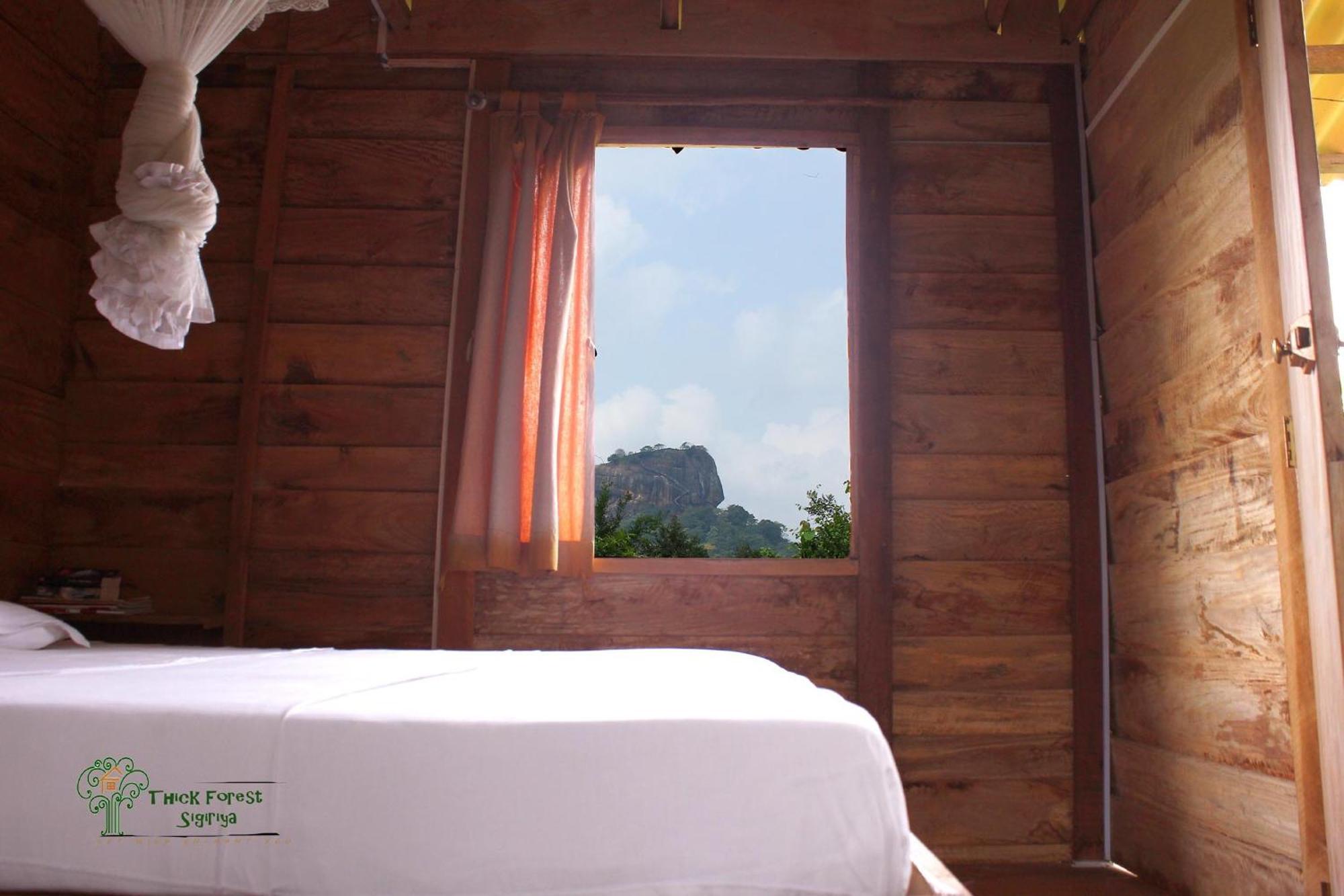 The Thick Forest Sigiriya Room photo
