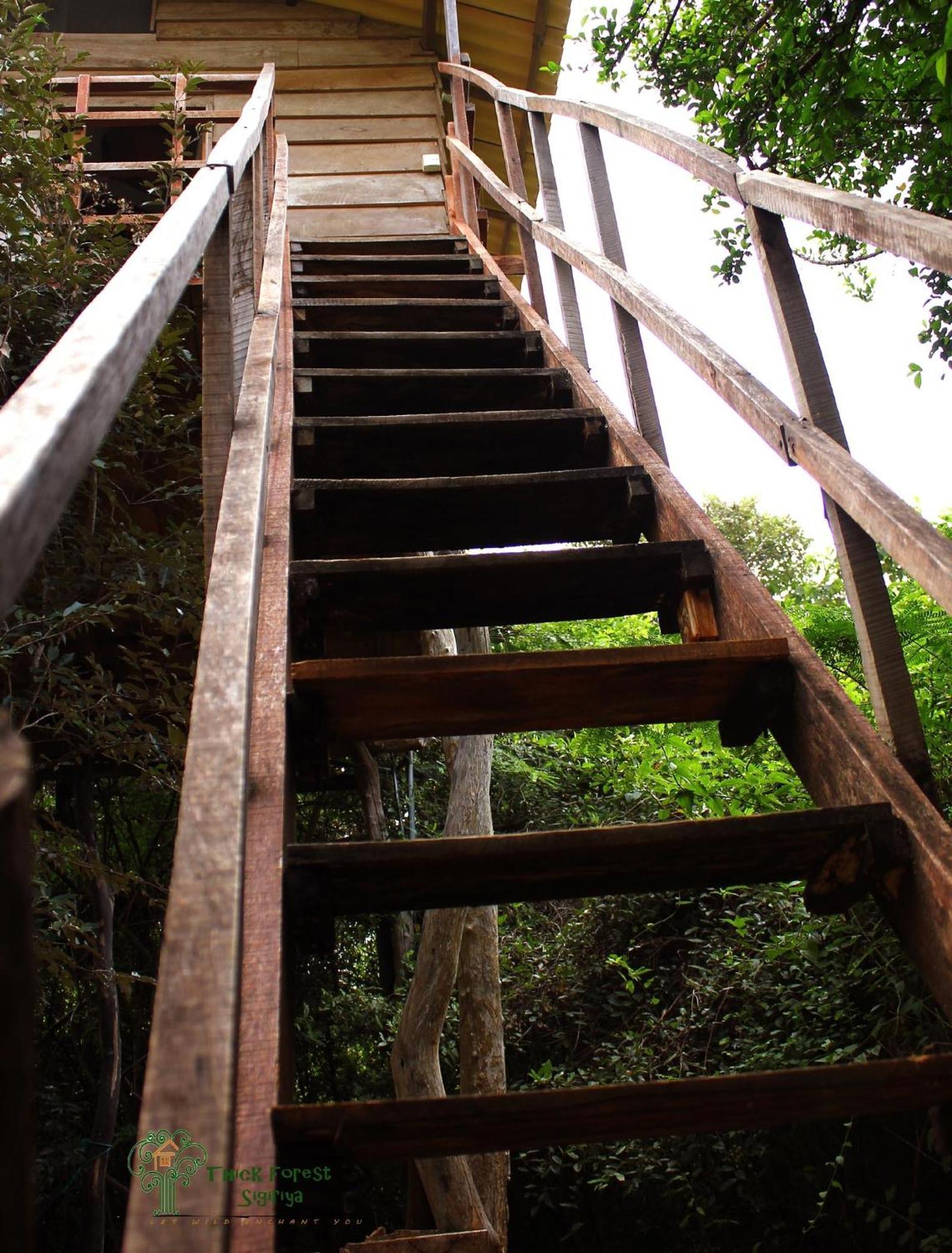 The Thick Forest Sigiriya Room photo