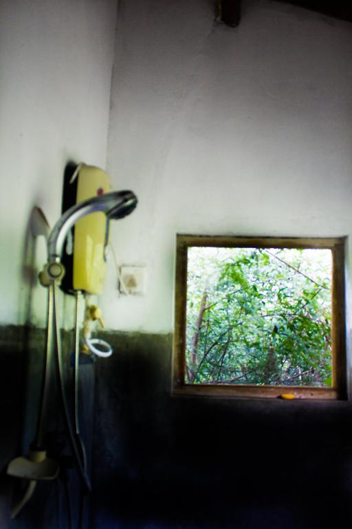 The Thick Forest Sigiriya Room photo