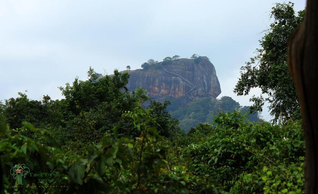 The Thick Forest Sigiriya Exterior photo