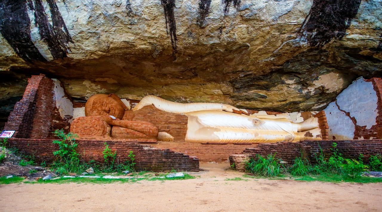 The Thick Forest Sigiriya Exterior photo