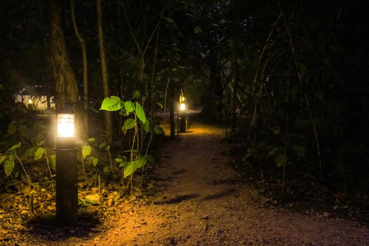 The Thick Forest Sigiriya Exterior photo
